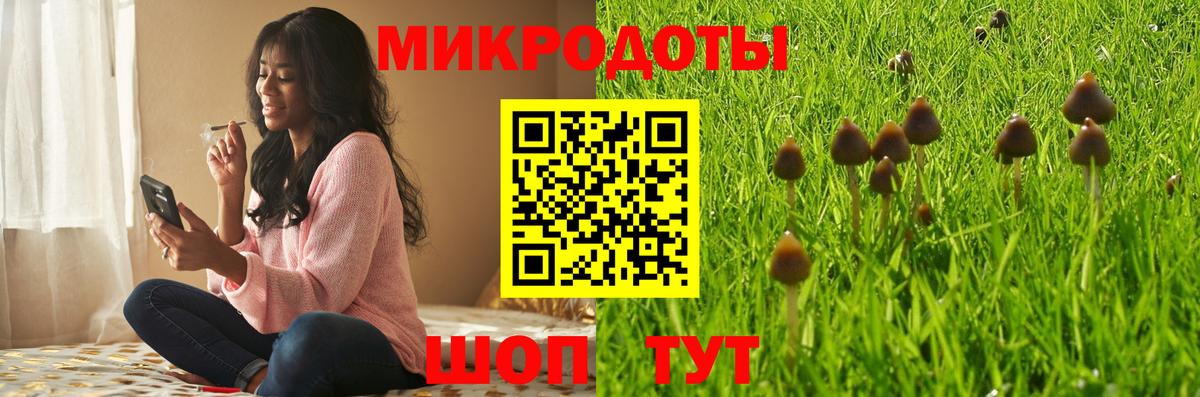 Псилоцибиновые грибы прущие грибы Жигулёвск