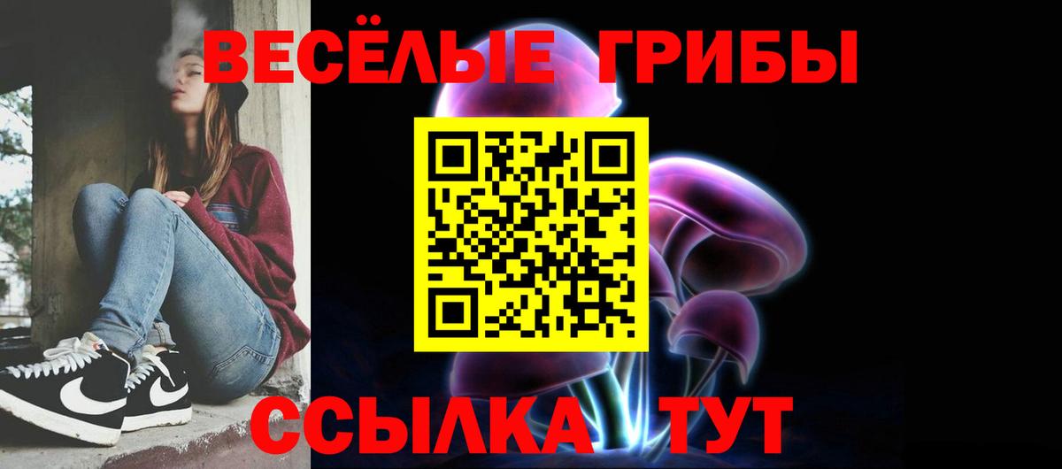 Жигулёвск  Галлюциногенные грибы прущие грибы  Вход с VPN 